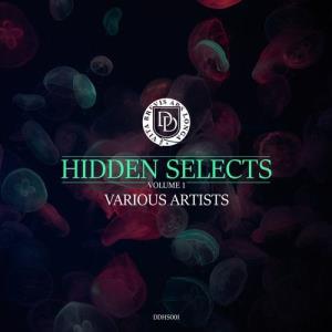 VA - Hidden Selects, Vol. 1 [Dear Deer] 