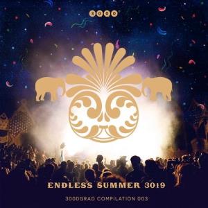 VA - Endless Summer 3019 [3000 Grad Records] 