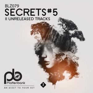 VA - Secrets #5 [Plattenbank] 