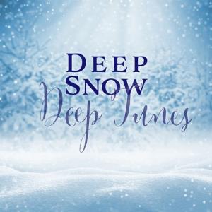 VA - Deep Snow Deep Tunes [BE52 Records] 