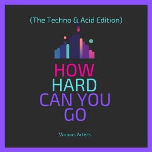 VA - How Hard Can You Go (The Techno & Acid Edition) [Urban GorillazX] 