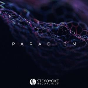 VA - Steyoyoke Paradigm, Vol. 06 [Steyoyoke] 