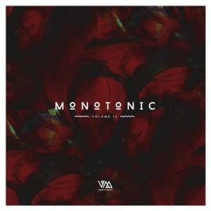 VA - Monotonic Issue 12 [Variety Music] 