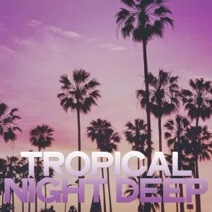 VA - Tropical Night Deep [Electronic Italy Mood] 
