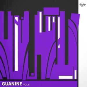 VA - Guanine ,vol.6 [Lamp] 