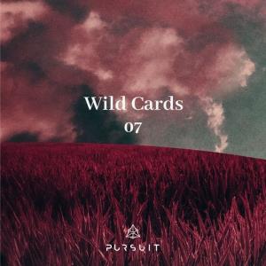 VA - Wild Cards 07 [Pursuit] 