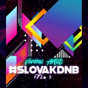 VA - #slovakdnb, Vol. 2 [DNBD Recordings] 