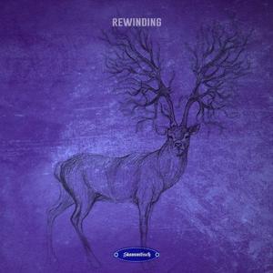 VA - Rewinding [STT077]