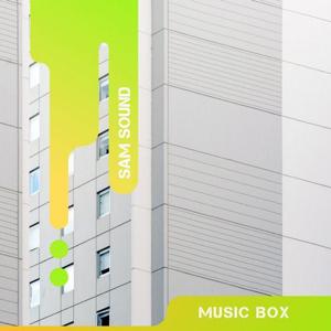 VA - Music Box 333 [SAM SOUND]