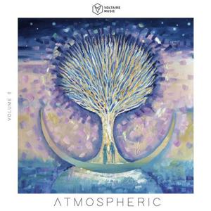 VA - Voltaire Music Pres. Atmospheric, Vol. 8 [2020] [FLAC]
