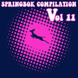 VA - Springbok Compilation, Vol. 11 [SBK210]