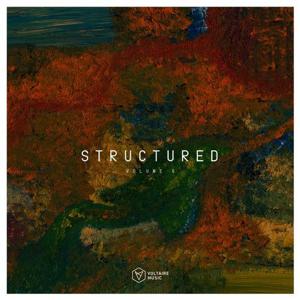 VA - Voltaire Music Pres. Structured, Vol. 5 (2020) [FLAC]